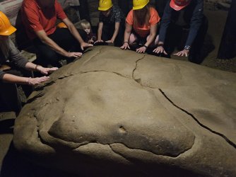 2023-10-22 16.57.06.jpg 2023-10-22 16.57.06.jpg