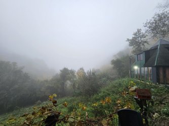 2023-10-23 07.30.50.jpg 2023-10-23 07.30.50.jpg