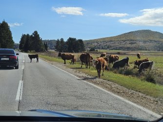 2023-10-23 12.31.10.jpg 2023-10-23 12.31.10.jpg