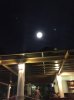 ImageUploadedByAustFreqFly1421125326.774780.jpg ImageUploadedByAustFreqFly1421125326.774780.jpg