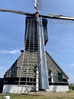 IMG_E9483.JPG IMG_E9483.JPG