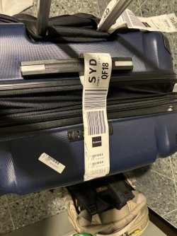 IMG_0689.jpeg IMG_0689.jpeg