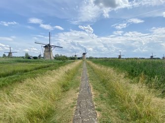 IMG_E9519.JPG IMG_E9519.JPG