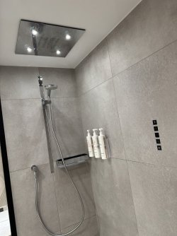 IMG_3677.jpeg IMG_3677.jpeg