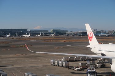 IMG_0497.JPG IMG_0497.JPG