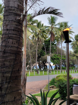 1699506122363.png 1699506122363.png