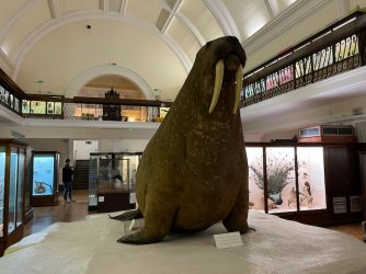 IMG_9964.jpeg IMG_9964.jpeg