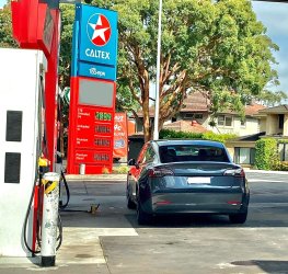 IMG_0351.jpg IMG_0351.jpg