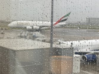 IMG_4795.jpeg IMG_4795.jpeg