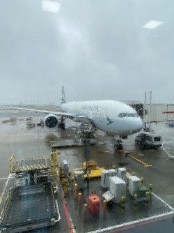 IMG_4800.jpeg IMG_4800.jpeg