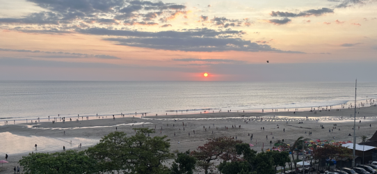 IMG_2815.PNG IMG_2815.PNG