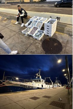 Snip 264.JPG Snip 264.JPG