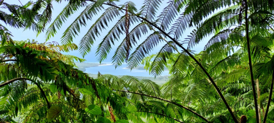 1700528278687.png 1700528278687.png