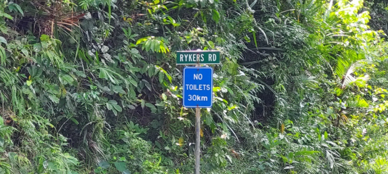 1700529305752.png 1700529305752.png