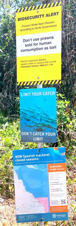 1700613367478.png 1700613367478.png