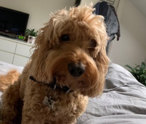 IMG_6009.jpg IMG_6009.jpg