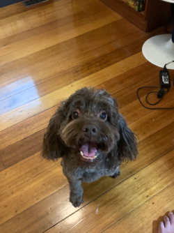 1700733458594.png 1700733458594.png