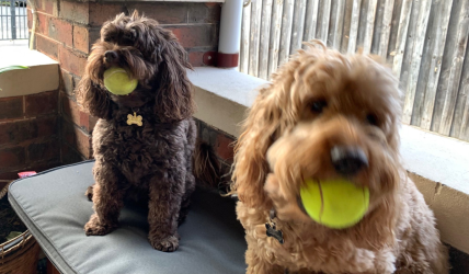 1700733712037.png 1700733712037.png