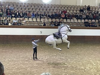 IMG_3254.jpeg IMG_3254.jpeg