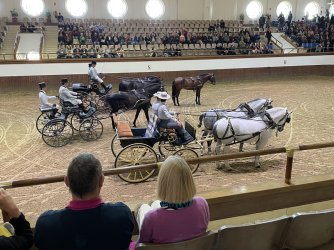 IMG_3263.jpeg IMG_3263.jpeg