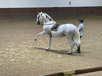 IMG_3279.jpeg IMG_3279.jpeg