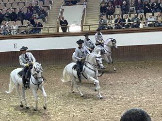 IMG_3291.jpeg IMG_3291.jpeg