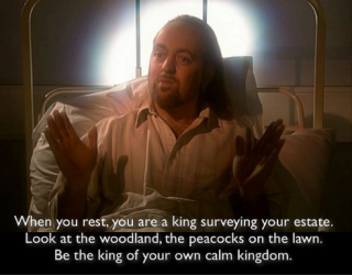 1700882621611.png 1700882621611.png