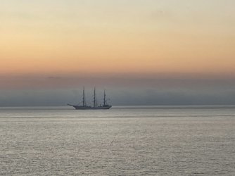 IMG_3322.jpeg IMG_3322.jpeg