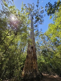 20231125_140137.jpg 20231125_140137.jpg