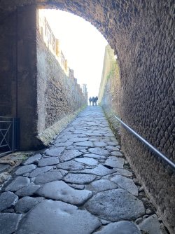 IMG_1748.jpeg IMG_1748.jpeg