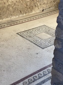 IMG_1861.jpeg IMG_1861.jpeg