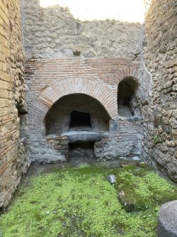 IMG_1807.jpeg IMG_1807.jpeg