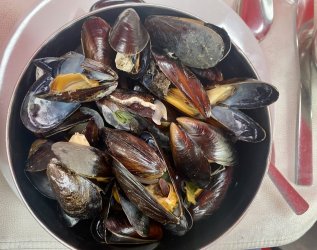 IMG_E0028.JPG IMG_E0028.JPG