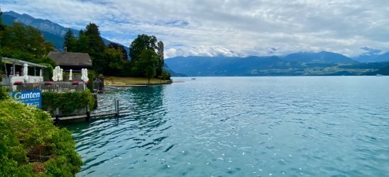 1701207598222.png 1701207598222.png