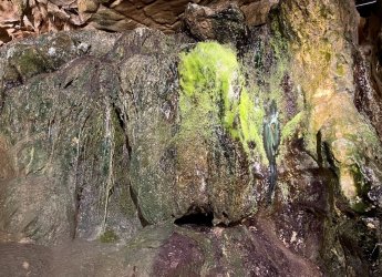 IMG_0399.jpeg IMG_0399.jpeg