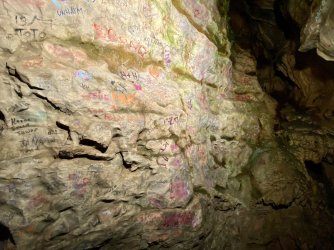 IMG_0403.jpeg IMG_0403.jpeg