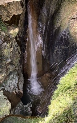 IMG_0414.jpeg IMG_0414.jpeg