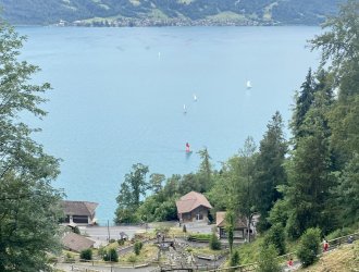 IMG_0422.jpeg IMG_0422.jpeg