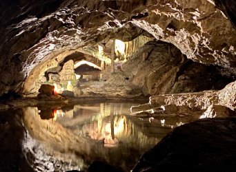 IMG_0405.jpeg IMG_0405.jpeg