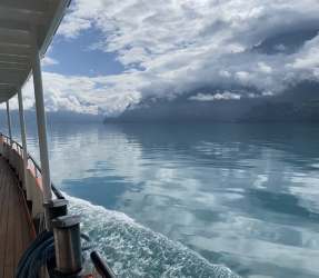 1701329147943.png 1701329147943.png