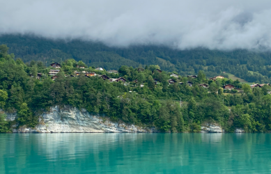 1701329231705.png 1701329231705.png