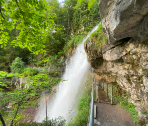 1701329795005.png 1701329795005.png