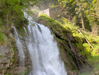 1701330002645.png 1701330002645.png