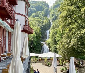 IMG_0513.jpeg IMG_0513.jpeg