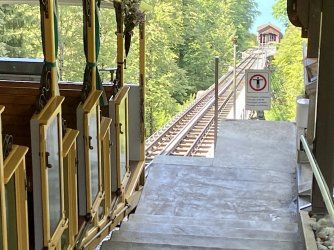 IMG_0516.jpeg IMG_0516.jpeg