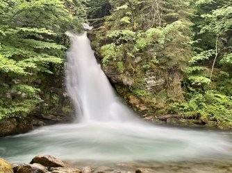 IMG_0524.jpeg IMG_0524.jpeg