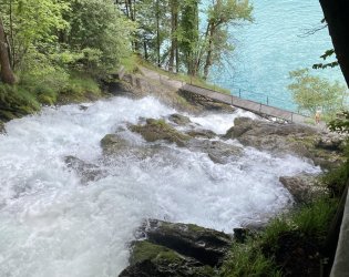 IMG_0533.jpeg IMG_0533.jpeg