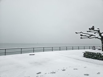 2023-12-02 08.20.49.jpg