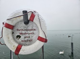 2023-12-02 08.22.28.jpg