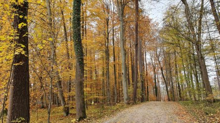 20191116_114112.jpg 20191116_114112.jpg